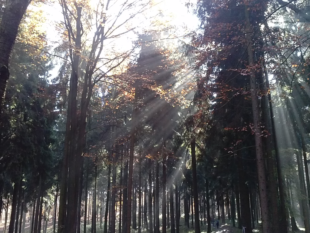 Wie du Energie auftanken kannst. TOP 5 Bereiche die Gut&nbsp;tun.