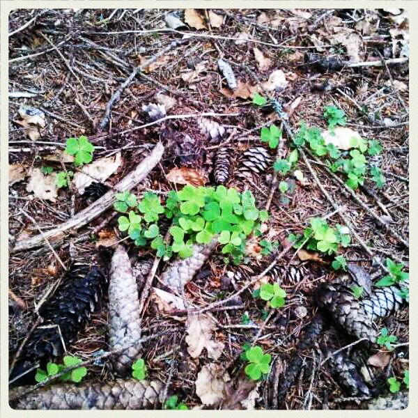 Was ist Glück? #6 Anregungen um die Wahrnehmung auf das Glücklichsein zu&nbsp;schärfen.