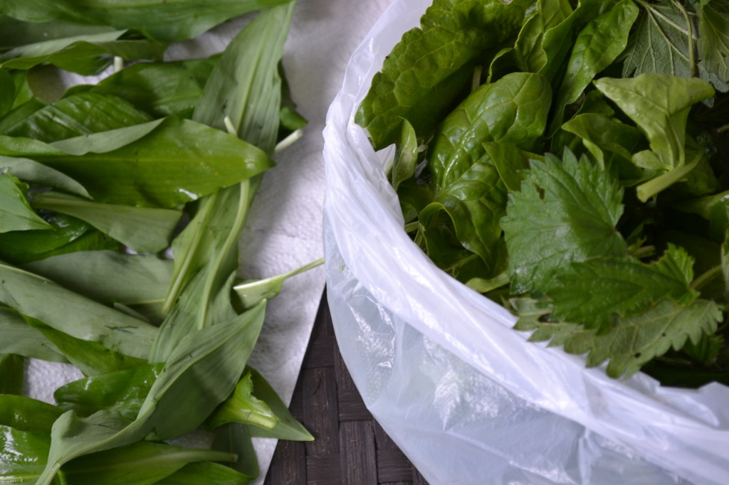 Bildcredits: DorisWorld - Bärlauch, Spinat und Brennessel