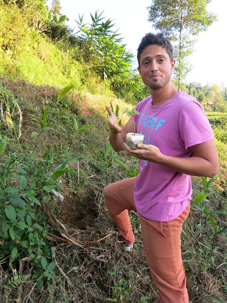 Fotocredits: http://wuckee.me/volunteer-teefarm-nepal/