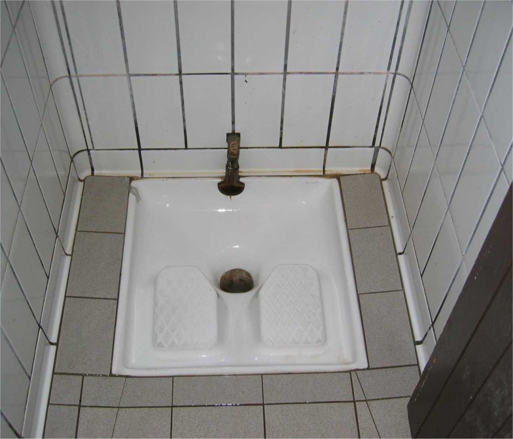 French_Squatter_Toilet