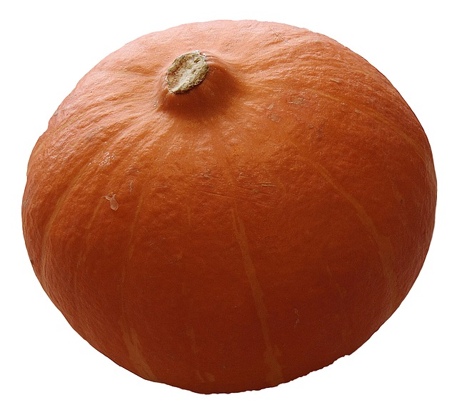 pumpkin-74282_640