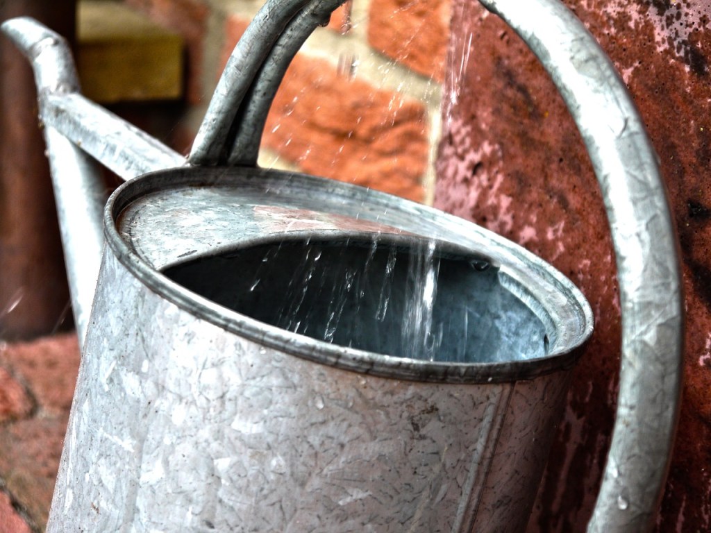 watering-can-823866_1280
