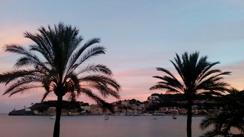 IMG_20151024_080325(1)