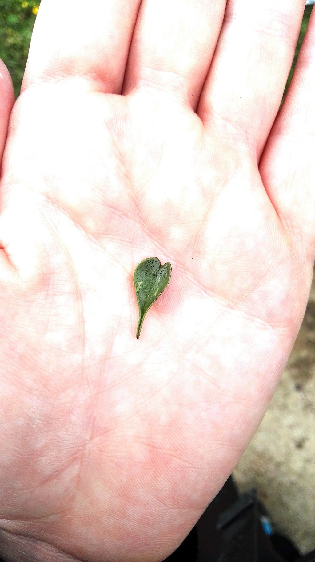 Sommerpause und Blog-Zwischenbilanz: Wie erfolgreich bin&nbsp;ich?