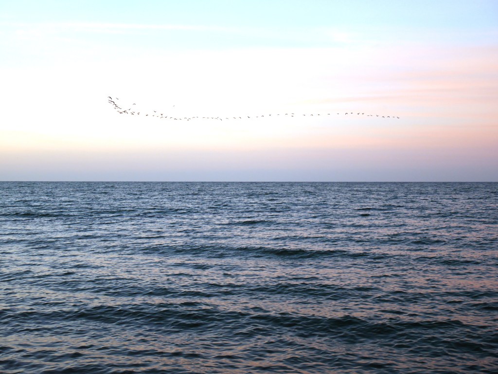 Halt! Von Momentaufnahmen und&nbsp;Vergänglichkeit