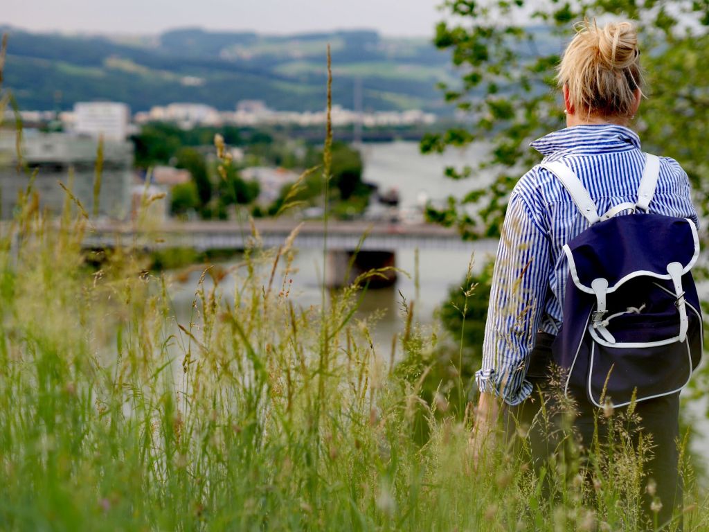 Oberösterreich 2019: Was ist&nbsp;los?