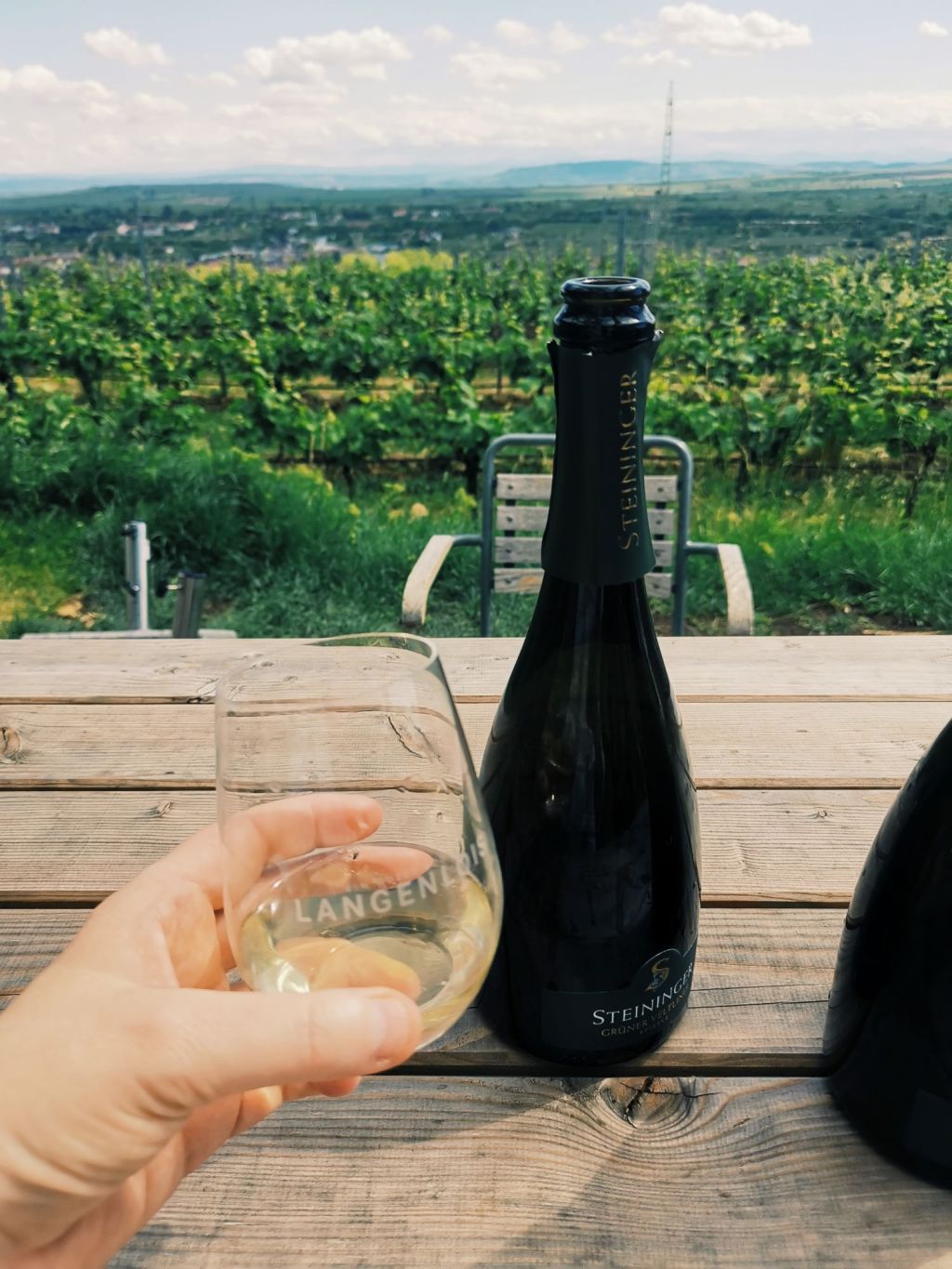 Weinwandern im Kamptal, Niederösterreich